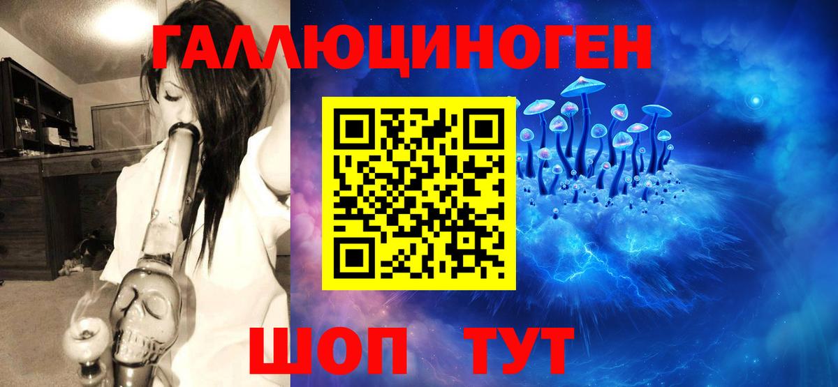 Галлюциногенные грибы Psilocybe Гусь-Хрустальный