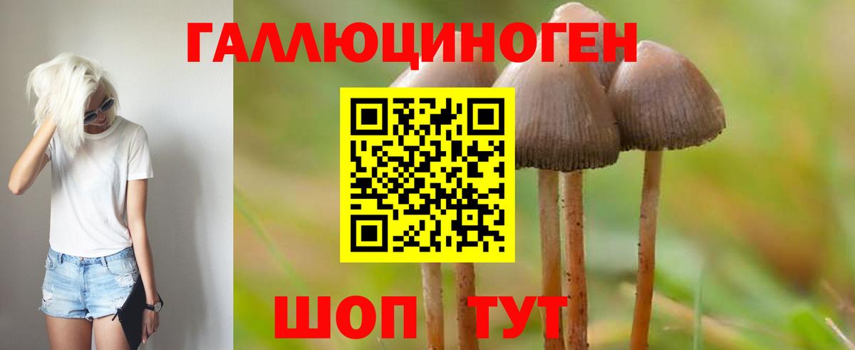 где купить наркоту  Вход с VPN  Гусь-Хрустальный  Галлюциногенные грибы GOLDEN TEACHER 