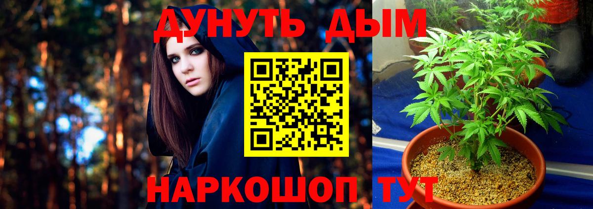 Шишки марихуана тримм  Шишки марихуана индика  Шишки марихуана OG Kush  Бошки марихуана план  Гусь-Хрустальный  Вход с VPN 